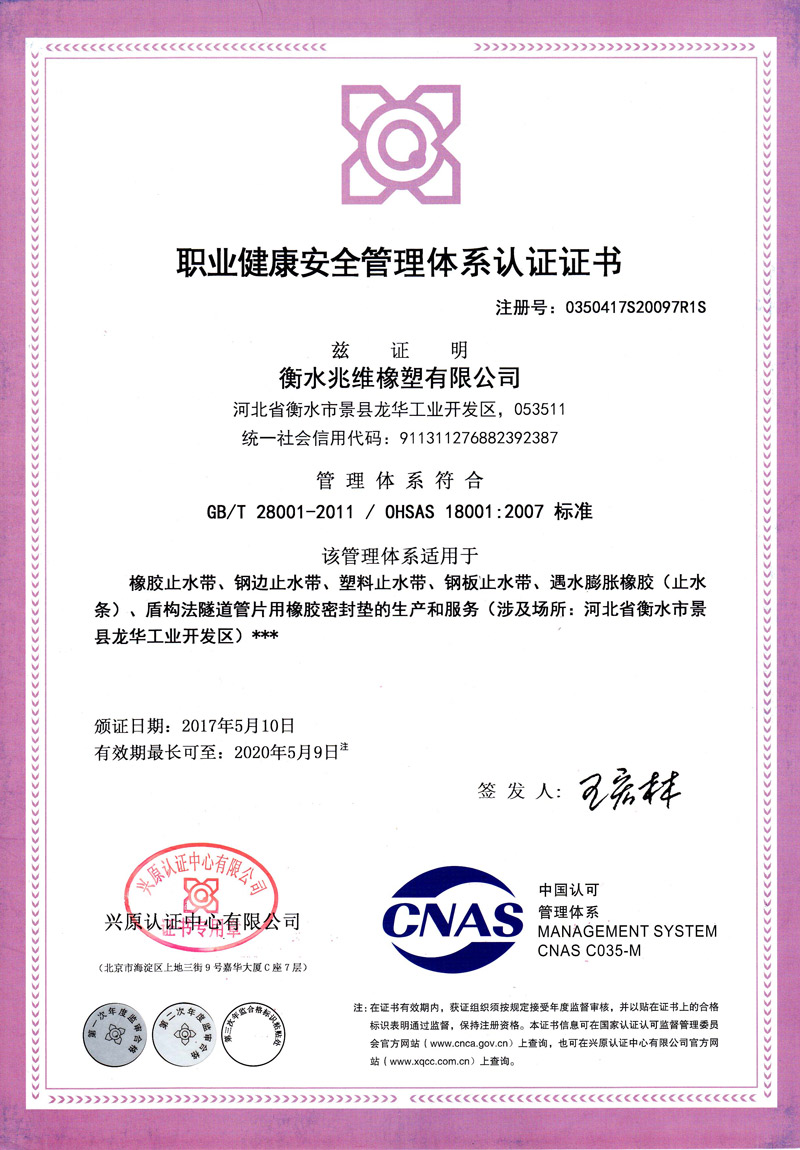 职业健康安全--中文2019